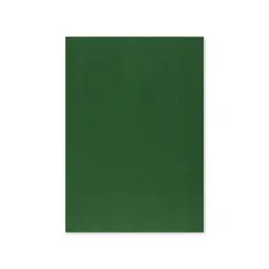 Cartolina 50x65cm Verde Escuro 3C 250g 1 Folha