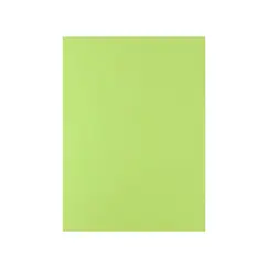 Cartolina 50x65cm Verde Lima 3N 180g 1 Folha