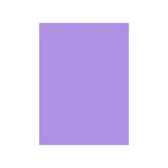 Cartolina 50x65cm Lilás Pálido 7L 180g 1 Folha