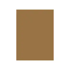 Cartolina 50x65cm Castanho Terra 10T 180g 1 Folha