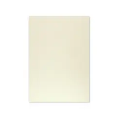 Cartolina 50x65cm Cinzento 9 250g 1 Folha