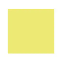 Cartolina 50x65cm Kiwi 240g 25 Folhas Canson