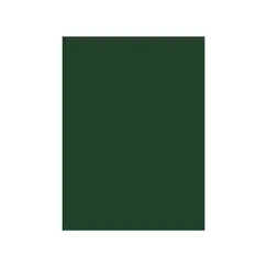 Cartolina A4 Verde Oliva 3O 180g 125 Folhas