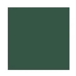 Cartolina A3 Verde Amazonas 185g Canson 50 Folhas