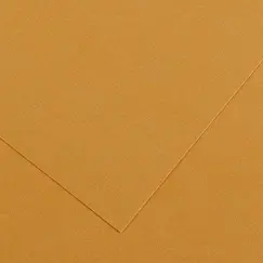 Cartolina 50x65cm Couro 185g 1 Folha Canson