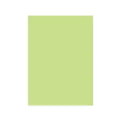 Cartolina A4 180g Verde Suave 3A 1 Folha