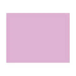 Cartolina 50x65cm Lilas Pálido 7L 180g 1 Folha