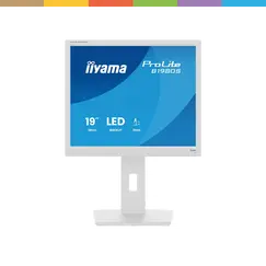 iiyama ProLite B1980S-W1 - Monitor LED - 19" - 1280 x 1024 @ 75 Hz - TN - 250 cd/m² - 1000:1 - 3 ms - HDMI, DisplayPort - altifalantes - branco, mate
