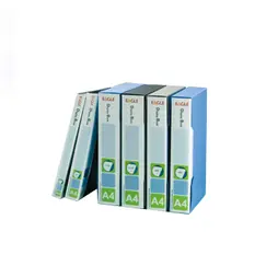 Pasta c/100 Bolsas Catalogo c/Caixa Eagle Azul