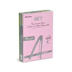 Papel Fotocopia 5 Cores Suaves A4 080gr 5x100=500Fls
