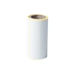 Etiquetas Pré-Cortadas 76x44mm 24 Rolos
