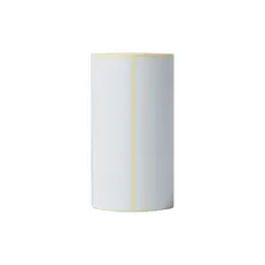 Etiquetas Térmicas 102x152mm 20 Rolos