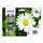 Pack Tinteiros Epson 18XL 4 Cores C13T18164010 | Alta Qualidade e Economia na bluepixel.pt