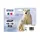 Pack Tinteiros Epson 26 - 4 Cores Compatíveis com Impressoras Epson | bluepixel.pt