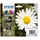 Tinteiro EPSON 18 Multipack 4 Cores XL para Impressoras XP-30 e Mais | BluePixel.pt
