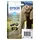 Tinteiro EPSON 24 Ciano Claro XL para Impressoras Expression Photo - Alta Capacidade Tinteiro EPSON 24 Ciano Claro XL para Impressoras Expression Photo - Alta Capacidade