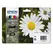 Pack Tinteiros Epson 18 4 Cores C13T18064010