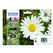 Pack Tinteiros Epson 18XL 4 Cores C13T18164010