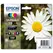 Tinteiro EPSON 18 Multipack 4 Cores XL - XP-30/x02/x05/x12/x15/x22/x25