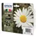 Tinteiro EPSON 18 Multipack 4 Cores - XP-30/ x02/ x05/ x12/ x15/ x22/ x25