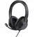 TRUST Ayda Max USB Stereo 40mm Headset with ENC Microphone 3.5mm Jack Black