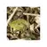 Chá Branco a Granel Great Earl Grey 250g