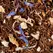 Chá Rooibos a Granel Oriental 1Kg
