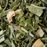 Chá Verde a Granel Fidji Vert 1Kg