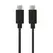 Cabo USB-C 2.0 Macho / Macho Preto 1m