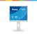 iiyama ProLite B1980S-W1 - Monitor LED - 19" - 1280 x 1024 @ 75 Hz - TN - 250 cd/m² - 1000:1 - 3 ms - HDMI, DisplayPort - altifalantes - branco, mate