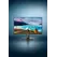 Philips 27E2N1500L - 1000 Series - monitor LED - 27" - 2560 x 1440 QHD @ 75 Hz - IPS - 1000:1 - HDR10 - 4 ms - HDMI, DisplayPort - preto