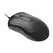 Rato com Fio Mouse-in-a-Box Preto