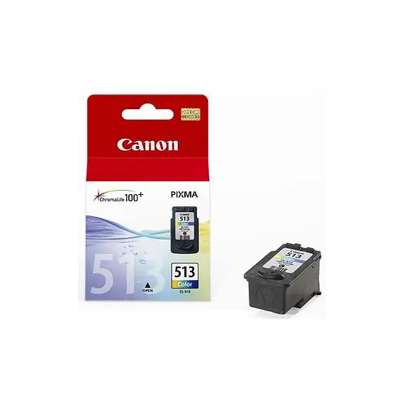 Tinteiro Canon 513 Cor 2971B001 - 13ml para Impressoras Canon | bluepixel.pt