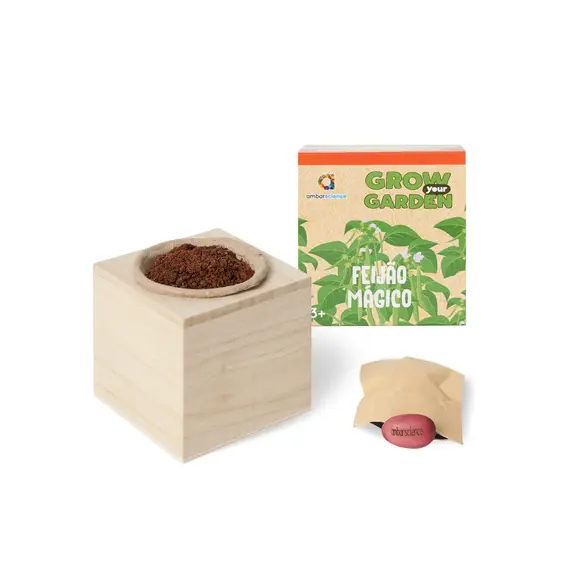 Grow your Garden Feijão Mágico AMBARSCIENCE | Kit de Cultivo Educativo para Crianças