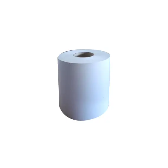 Rolo Papel Térmico 210x200x76mm - Marca OUTRAS | Loja online bluepixel.pt