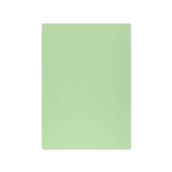 Cartolina Verde Suave 50x65cm 250g - Ideal para Artes e Projetos Criativos | NEUTRAL