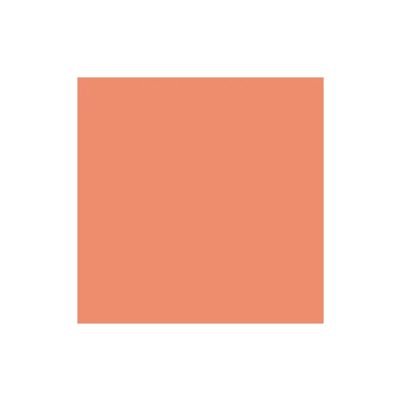 Cartolina Canson Coral 50x65cm 240g - 25 Folhas | Loja BluePixel