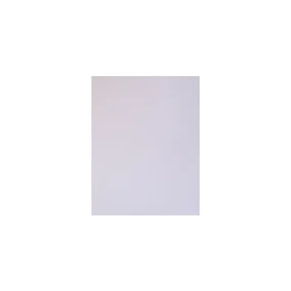 Cartolina Rosa Claro 86x61cm 180g - Ideal para Artesanato e Projetos Escolares | bluepixel.pt