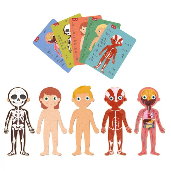 Jogo Educativo Puzzle Corpo Humano APLI - 240 Peças | Loja BluePixel