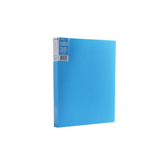 Pasta Eagle com 30 Bolsas de 60 Páginas | Organização e Arquivamento de Documentos