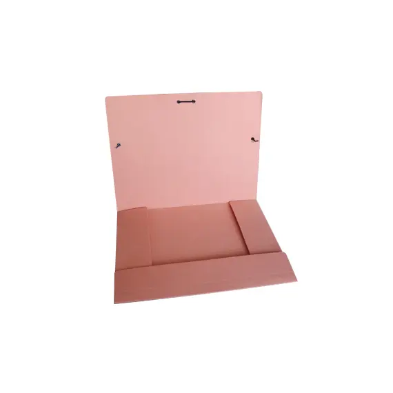 Pasta de Cartolina A4 350g Salmão - Cartonex | Organização e Resistência