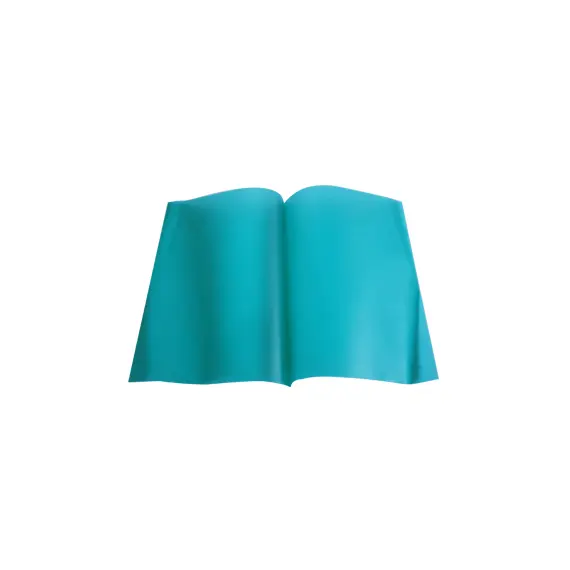 Classificador Capa Transparente Verde DURABLE 2919 - Organização de Documentos