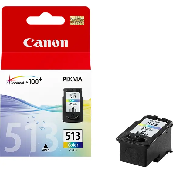 Cartucho de Tinta CANON CL-513 Padrão - Capacidade 13ml, 349 páginas | bluepixel.pt