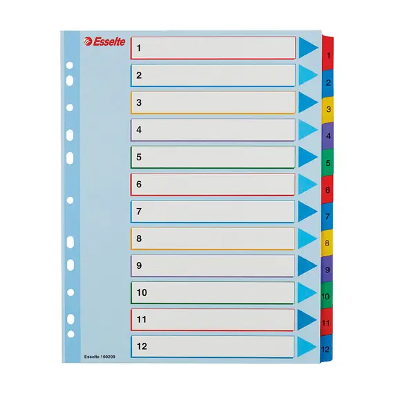 Separadores A4 Extra Largo Cartolina Regravável ESSELTE | Organização de Documentos