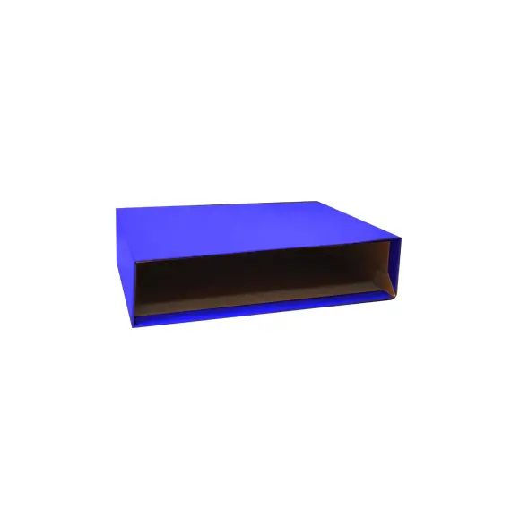 Caixa de Cartão Micro P/Pasta Arquivo 200AC 350x290 Azul - Cartonex | Loja BluePixel