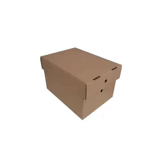 Caixa de Arquivo com Tampa 306x226x197mm - Pack de 25 unidades | Loja BluePixel