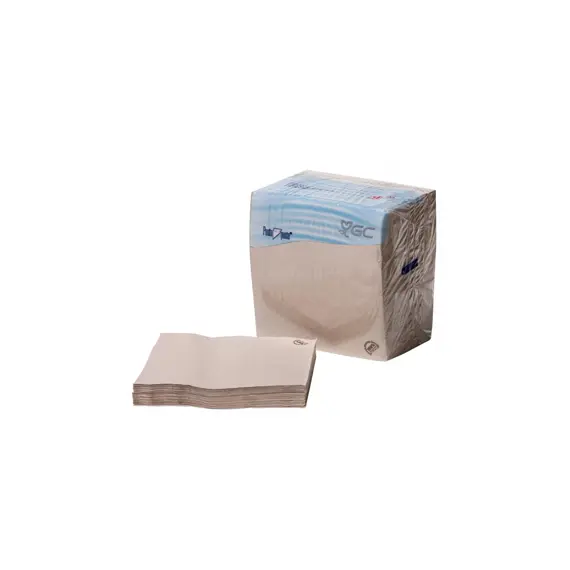 Guardanapos GC Nature P&P 40x40 2Fls Reciclados - Embalagem de 100 unidades | Loja BluePixel
