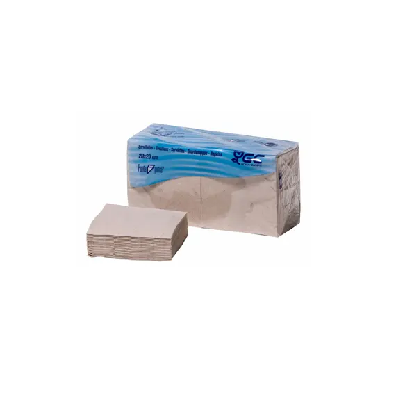 Guardanapos GC Nature P&P 20x20 cm, 2 Folhas, 100% Reciclados | Loja online bluepixel.pt