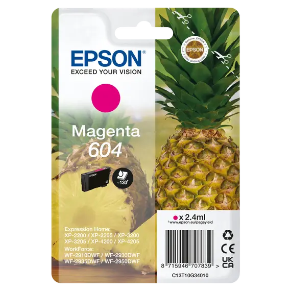 EPSON 1LB Singlepack Magenta 604 Ink w/s