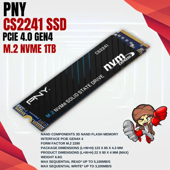 PNY M.2 PCIe 4.0 NVMe 1TB CS2241-5100R/3200W SSD